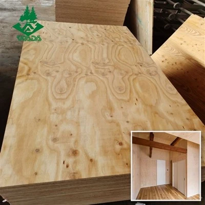 Dhismaha JAS Larch Plywood